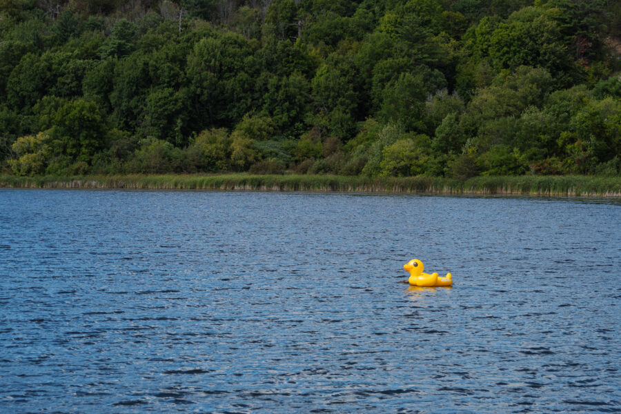 Inflatable yellow duck floating on Rideau Lake in Westport Ontario